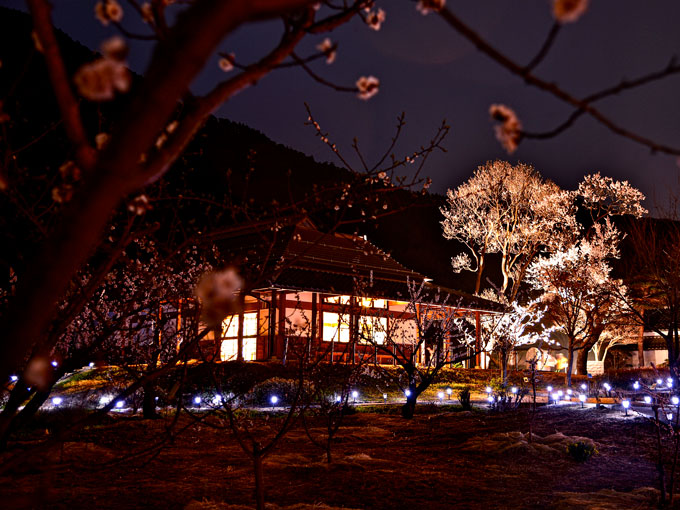 あんずの里スケッチパーク