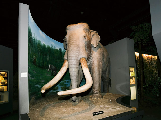 長野県立歴史館